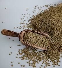 Yeşil Mercimek
